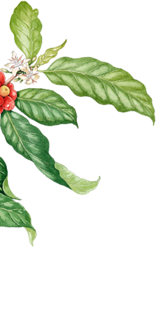 Học viện pha chế